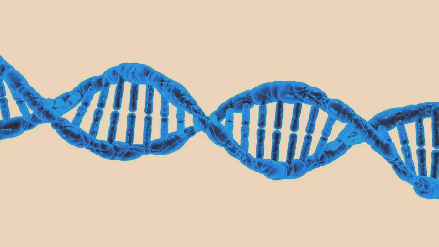 Illustration av en DNA-spiral