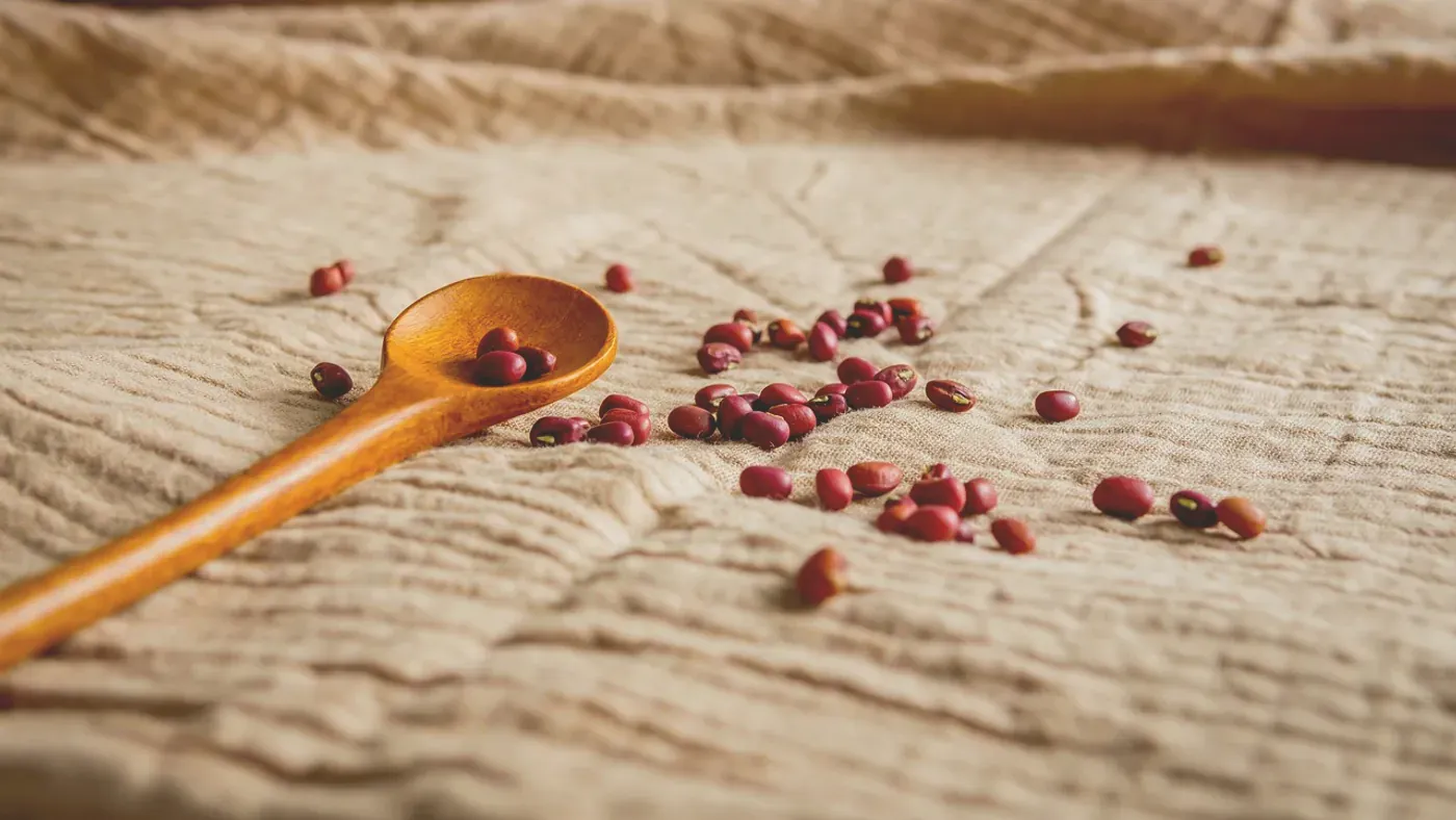 Torkade bönor på en träsked, en källa till B-vitaminer